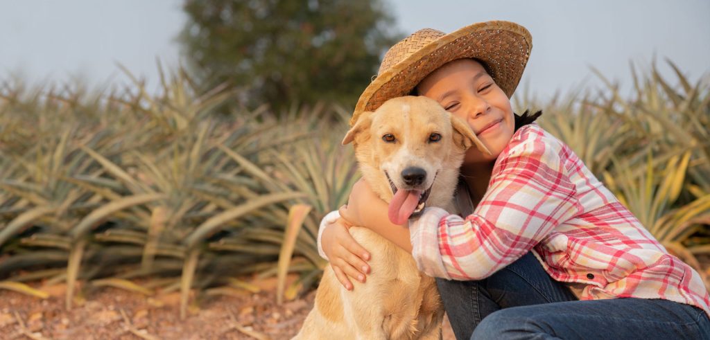 Clínica Veterinaria en Silla L'Albufera